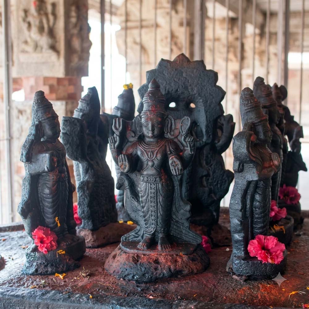 ஸ்ரீ R. பாலாஜி சிவாச்சாரியார் பரிகார புகைப்படம் 9